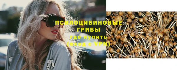 соль курить ск Алзамай
