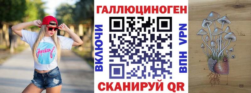 kraken зеркало Выкса Псилоцибиновые грибы Psilocybe продажа наркотиков